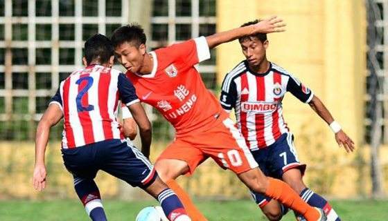  尼斯中场指挥官重伤，赛季报销震惊足坛  